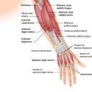 달천한의원 이미지