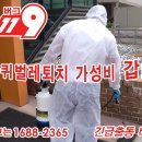 버그119