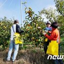 김상운농장 이미지