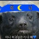 더레프트
