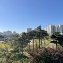 물총새공원 이미지