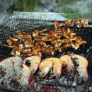 도레미캠핑장 이미지