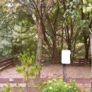 반디하우스캠핑장 이미지