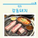 원주 무실동 삼겹살 맛집 감동돼지 삼겹세트 후기