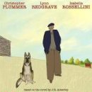 우리집강아지 이미지