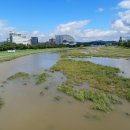 계룡로(만년교-수침교) 이미지