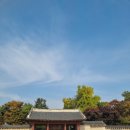 조은종로약국 이미지