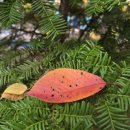 아름다운 항해 이미지