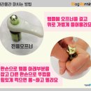 라라올라 이미지