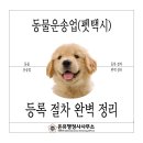 반려동물 이동서비스 | 반려동물 이동 서비스 창업! 동물운송업(펫택시) 등록 절차 완벽 정리