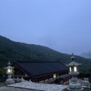 경기도 양주 육지장사 1박2일 템플스테이 후기