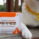 ㈜대웅펫 이미지