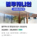 (주)호봉푸드시스템 | 휘닉스파크 블루캐니언 워터파크 할인 푸드코트 정보