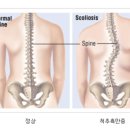 혜인 한의원 이미지