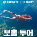 (주)프리투어 이미지