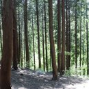 성주산자연휴양림 이미지