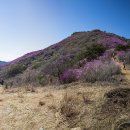 주인농장 이미지