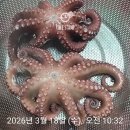 3월 23일 월요일 서부경남방 (출석부) 이미지