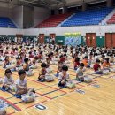 로봇과학코딩 이미지