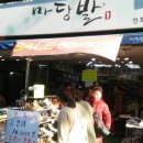 마당발신발 이미지
