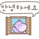 뚱네일 이미지
