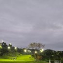 쌍용자동차 앞 - 우 | KLPGA 개최한 써닝포인트CC 3부 가을 라운딩 후기 및 필드 상태!