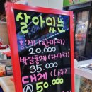 속초붉은대게수산&게싸다구 이미지