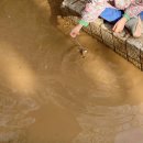 부산대부설어린이집 이미지