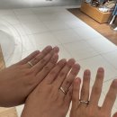 STAY-JUN | 💍 프릿 웨딩 밴드 계약 후기