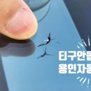 연성출장세차 | 용인자동차유리복원 - 티구안 앞유리돌빵 출장으로 편하게 시공받은후기![죽전,기흥,광교,흥덕]