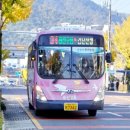 신대마을입구삼거리 이미지