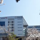 대지 이미지