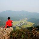 비지1리 이미지