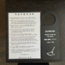 GS25 요트경기장점 | 에버랜드 가성비 가족 숙소 추천｜주차 · 편의점 완비한 용인 트리니호텔 내돈내산 후기