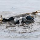 (유)조은환경 이미지