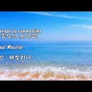 여름날의 소야곡 / Paul Mauriat 이미지