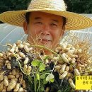 기풍농장 이미지