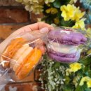 엄마손해장국 이미지