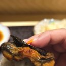 인우스시 이미지