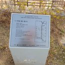 석양을 품은 물고기 이미지