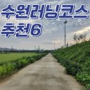 호매실동 행정복지센터 회의실 | 수원러닝코스 추천 6 - 금곡동·호매실동 농로길, 가을 마라톤 준비 최적 코스