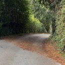 코스코레지던스 이미지