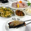 또래김밥 - 여수시 공화남1길 22 | 또래김밥