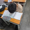 [에이펙스 아카데미]우리 아이가 영어가 쉬워졌대요! 행신동 영어학원 수업 후기~