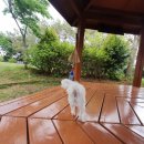 유선정 체육공원 이미지