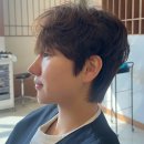 리프헤어 이미지