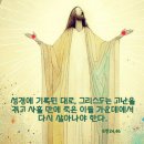 ⛪️ 부활 제3주일 이미지