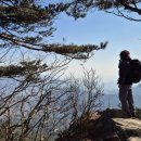 청도어물 이미지