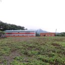 대합면사무소 이미지