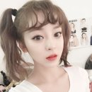 이로케 Daum카페